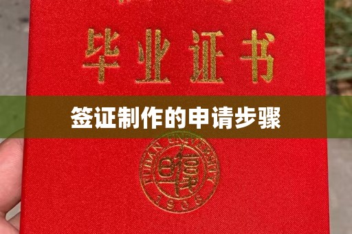 沅陵签证制作的申请步骤
