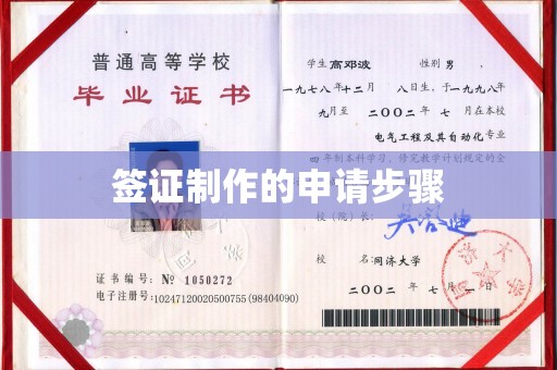 沅陵签证制作的申请步骤