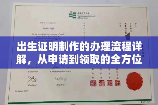 沅陵出生证明制作的办理流程详解，从申请到领取的全方位指南